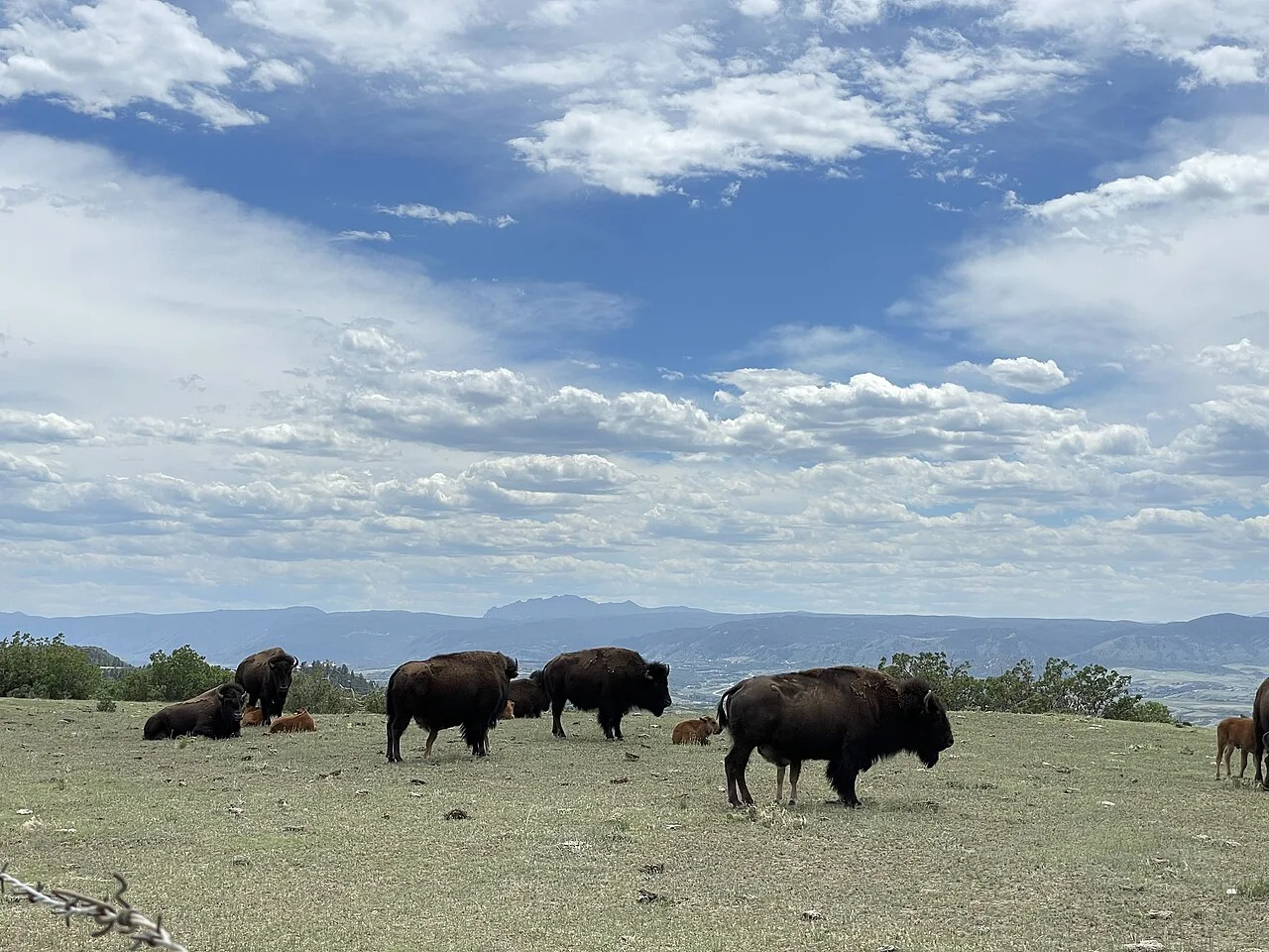 Daniels Park, Colorado