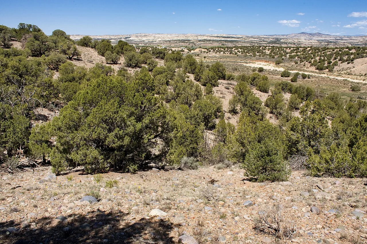 Hart Canyon, near Aztec, New Mexico