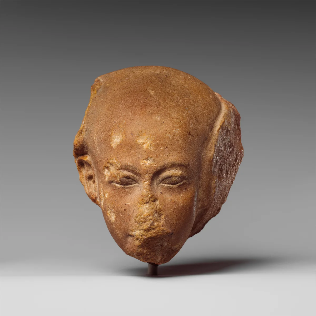 Quartzite princess head with elongated rear cranium, damaged nose and preserved sidelock, on a museum mount.