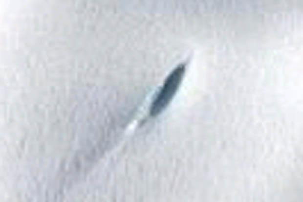 The actual supplied image