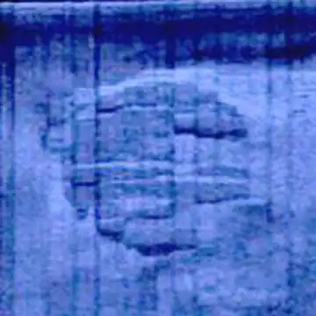 Ocean X survey-image reproduction. Acoustic return, not an optical photograph; the boundary is poorly resolved here.